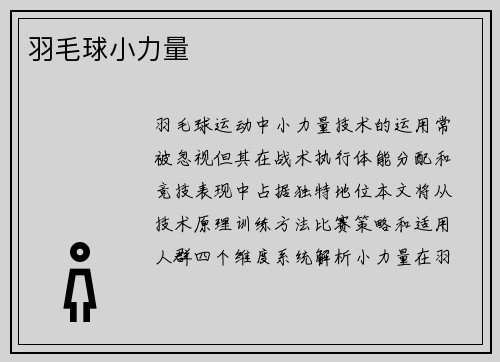 羽毛球小力量